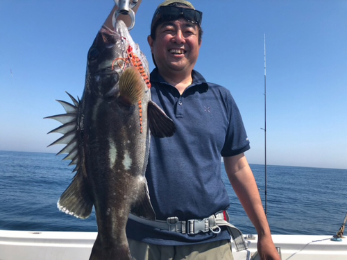 イシナギの釣果