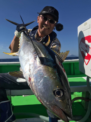 キハダマグロの釣果