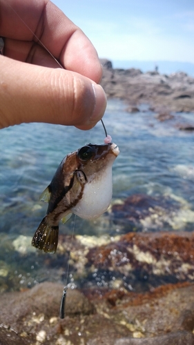 釣果