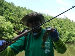 ブラックバスの釣果