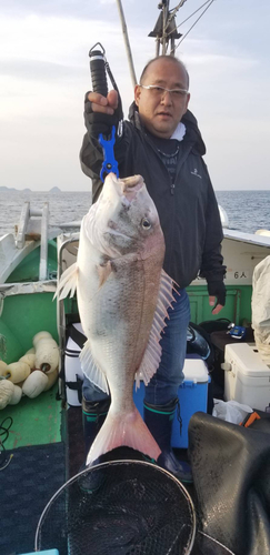 タイの釣果