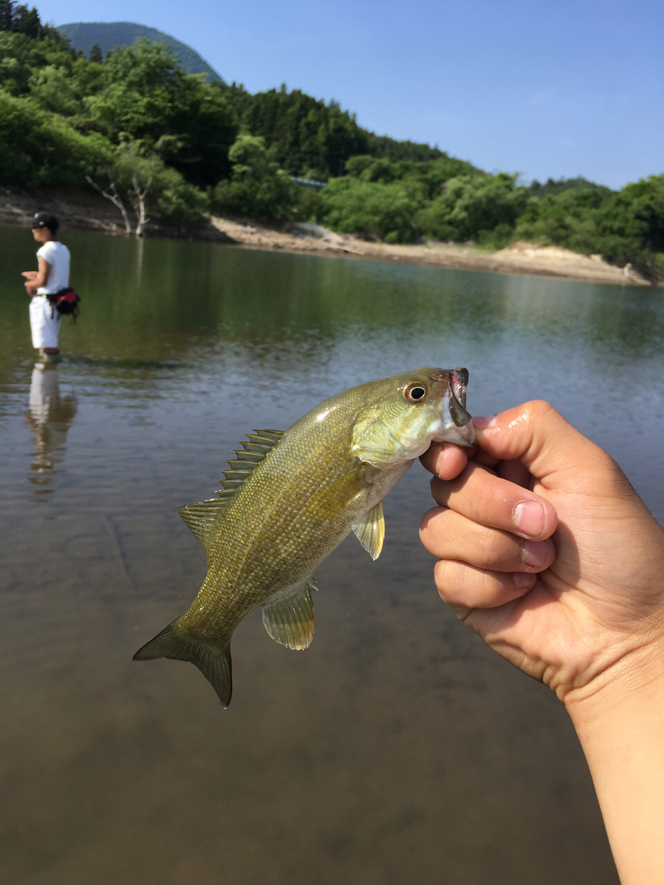 ブラックバス