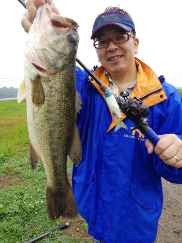 ラージマウスバスの釣果