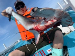 ハンマーヘッドシャークの釣果