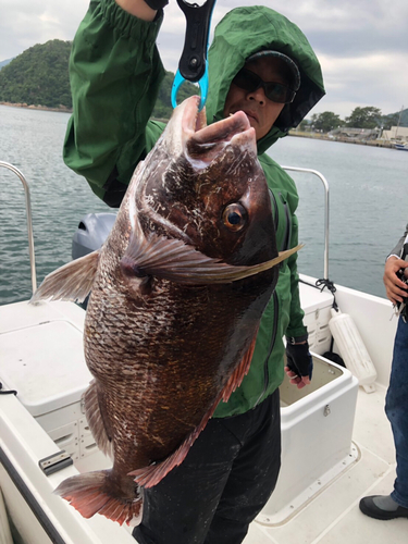 チャリコの釣果