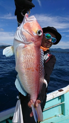 アマダイの釣果