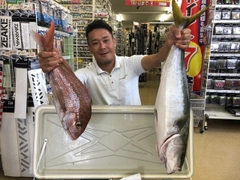 マダイの釣果