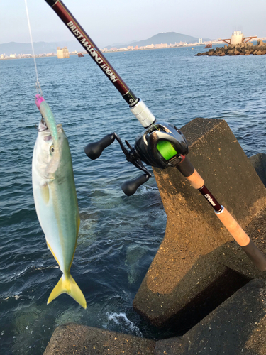 ツバスの釣果