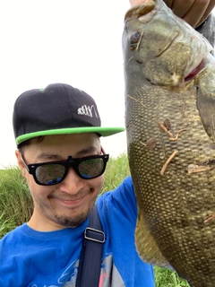 スモールマウスバスの釣果