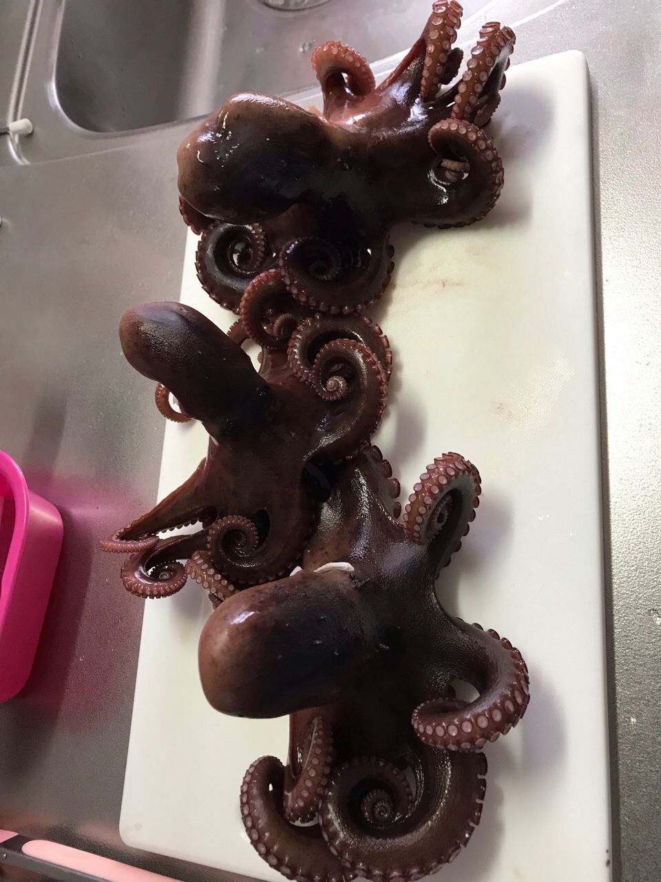タコ