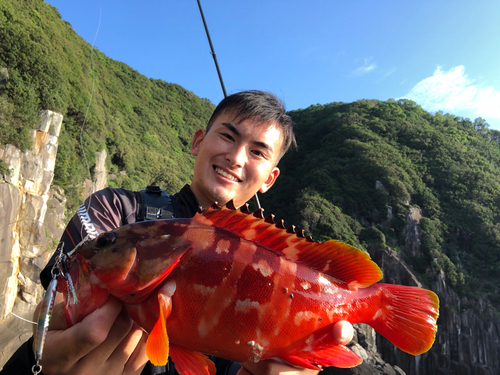 アカハタの釣果