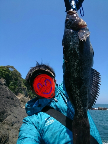 アイナメの釣果