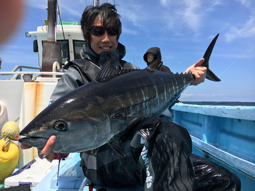 クロマグロの釣果