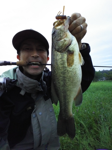 ラージマウスバスの釣果