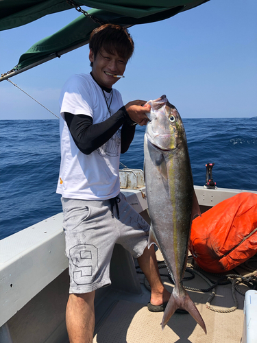 カンパチの釣果