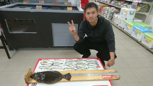 ヒラメの釣果