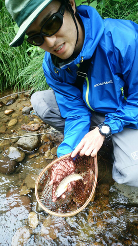 イワナの釣果