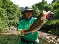 ブラックバスの釣果
