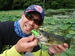 ブラックバスの釣果