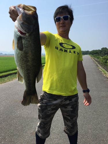 ブラックバスの釣果