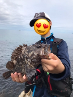 オウゴンムラソイの釣果