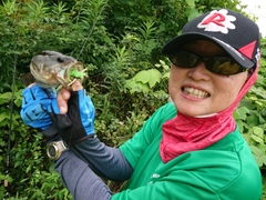 ブラックバスの釣果