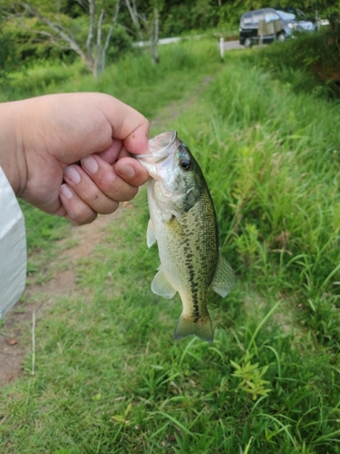 釣果