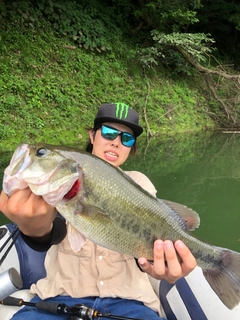 ブラックバスの釣果