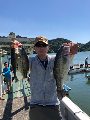 ブラックバスの釣果