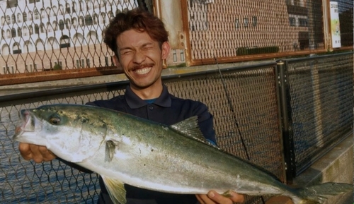 ワラサの釣果