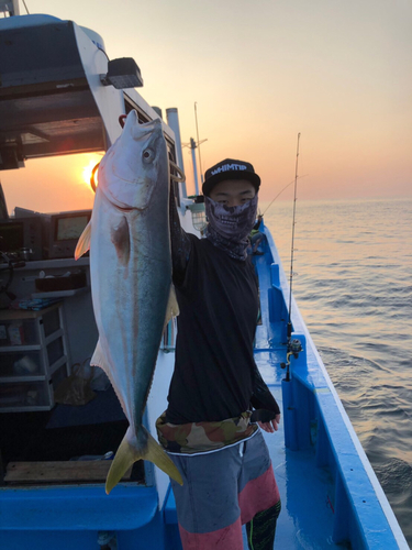 イナダの釣果