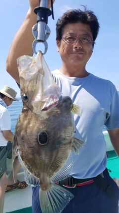 マトウダイの釣果