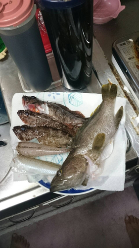 釣果