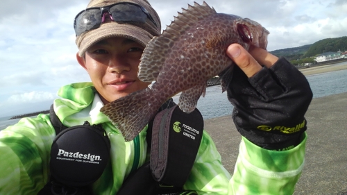 オオモンハタの釣果