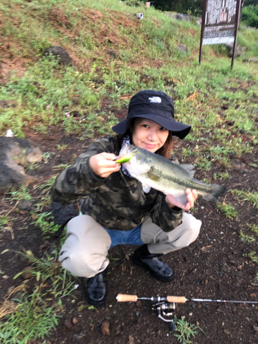 ラージマウスバスの釣果