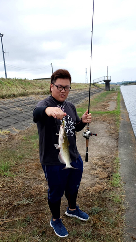 アメリカナマズの釣果