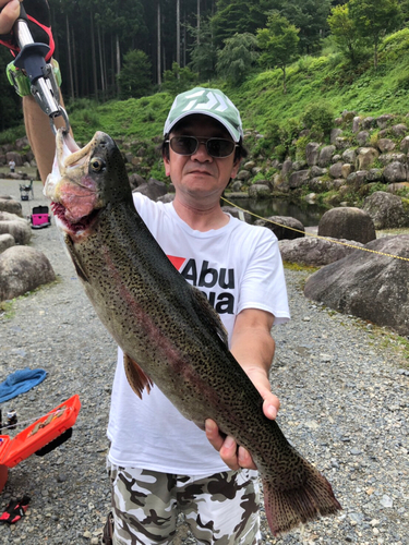 ヤシオマスの釣果