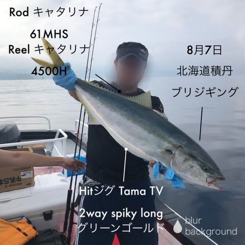 ブリの釣果