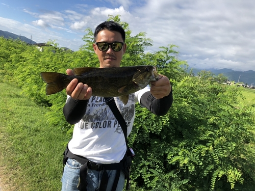 スモールマウスバスの釣果