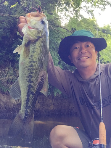 ラージマウスバスの釣果