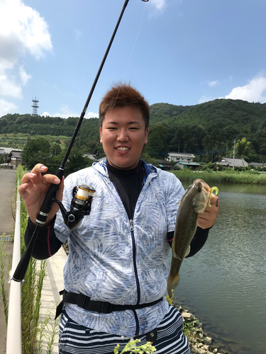 ブラックバスの釣果