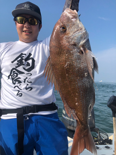 マダイの釣果