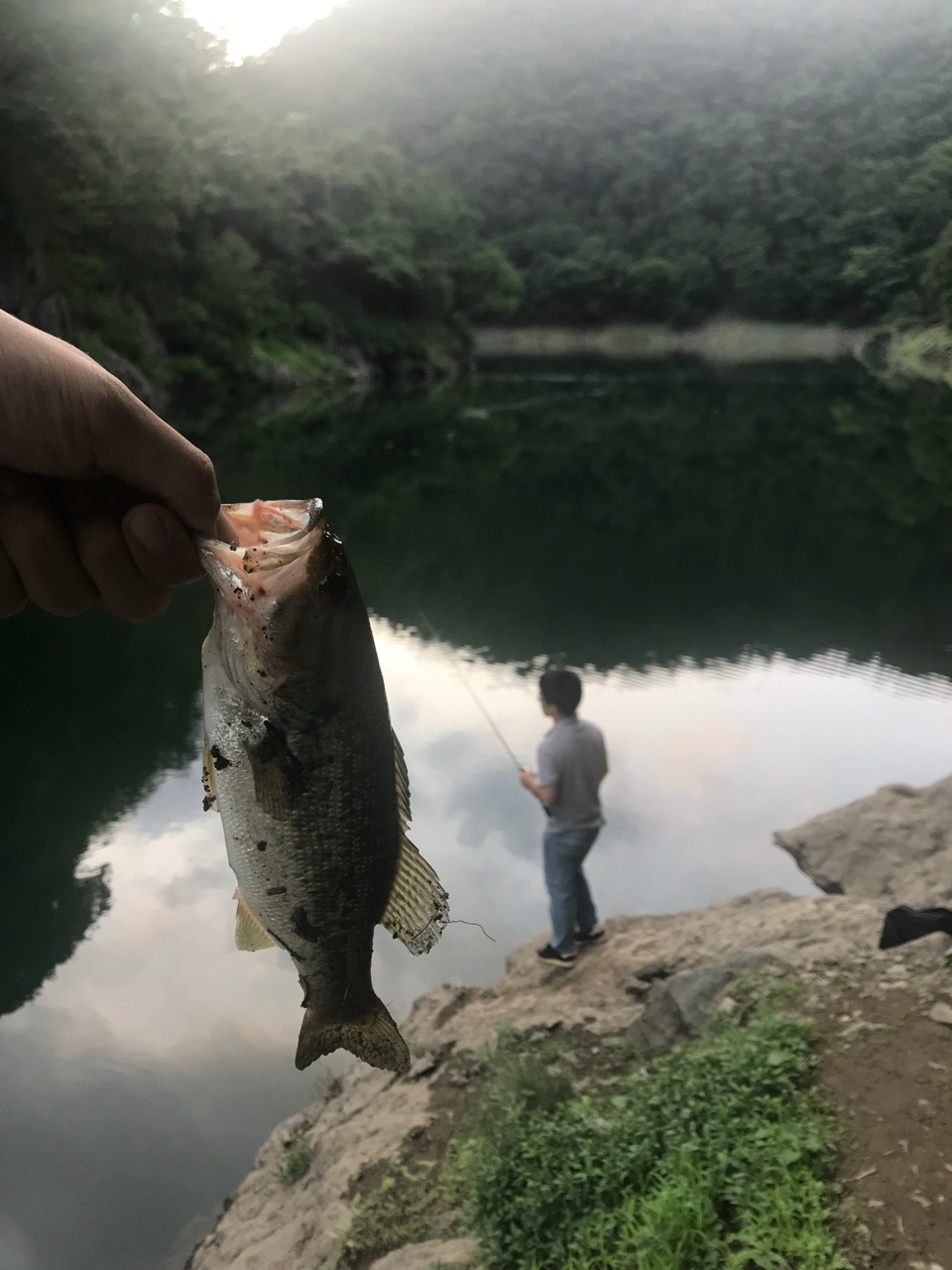 ブラックバス