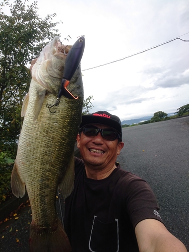 ブラックバスの釣果