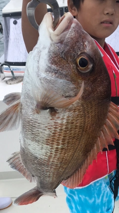 タイの釣果