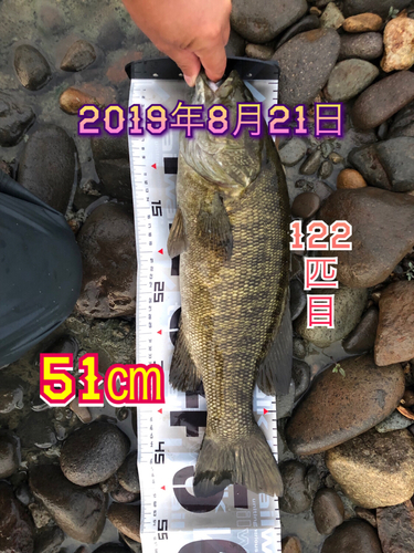 スモールマウスバスの釣果