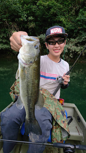 ブラックバスの釣果