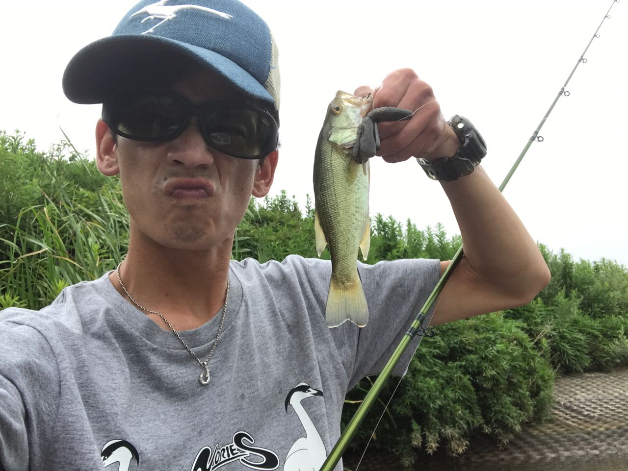 ラージマウスバス