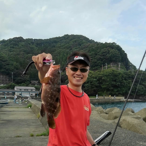 アコウの釣果