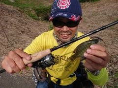 ブルーギルの釣果